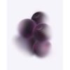 Cassis-Pods