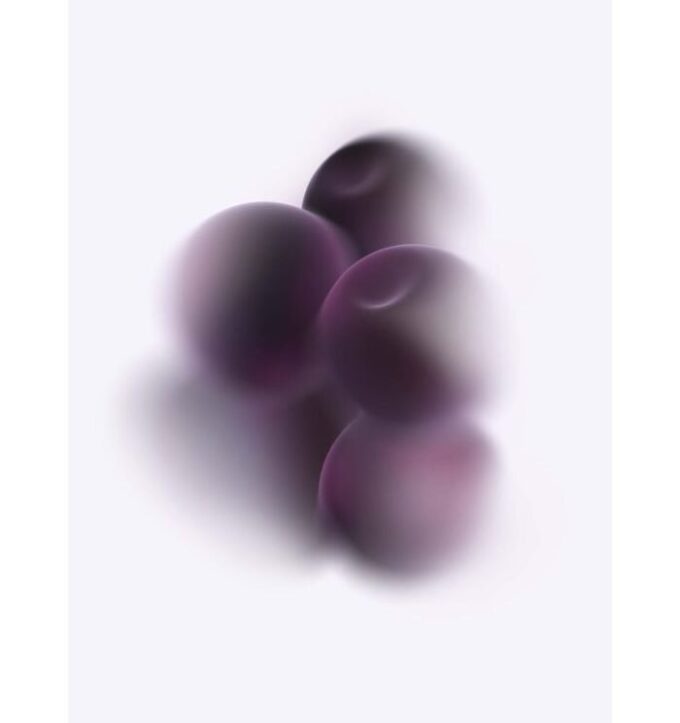 Cassis-Pods